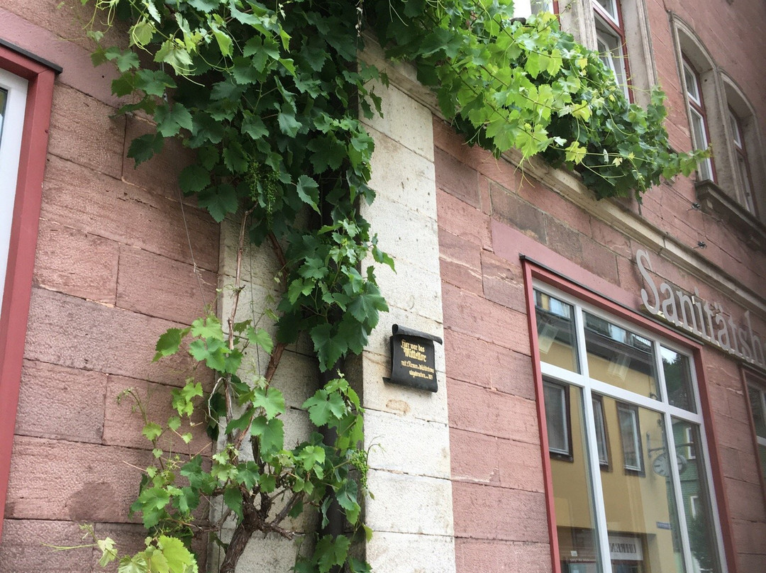 Zuentersbach旅游攻略图片