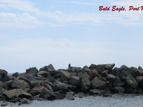 Port Morien旅游攻略图片