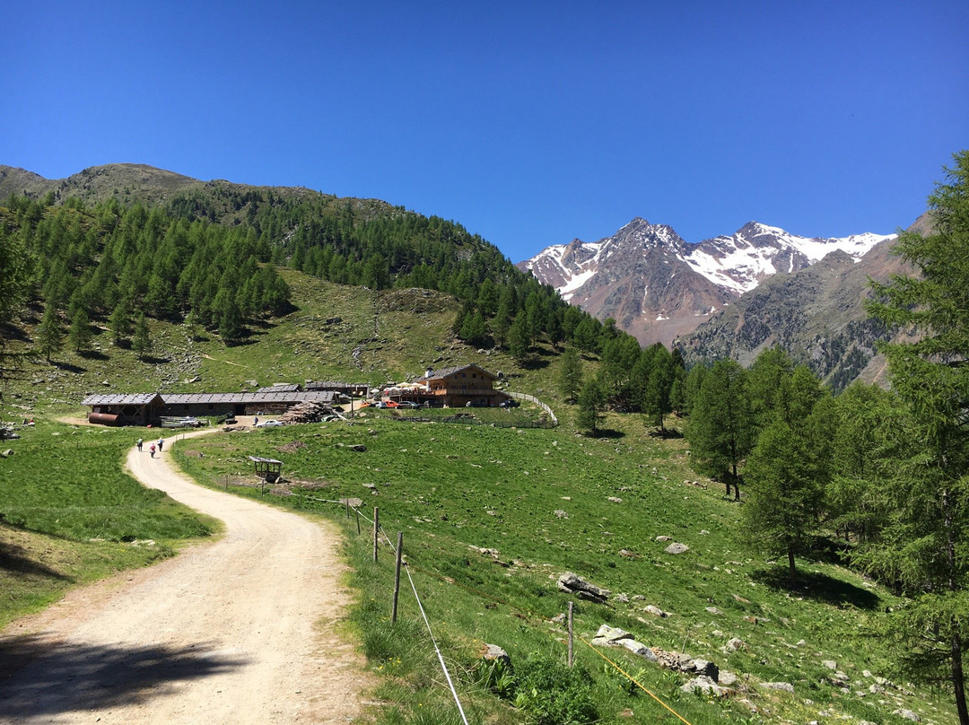 Ultimo旅游攻略图片