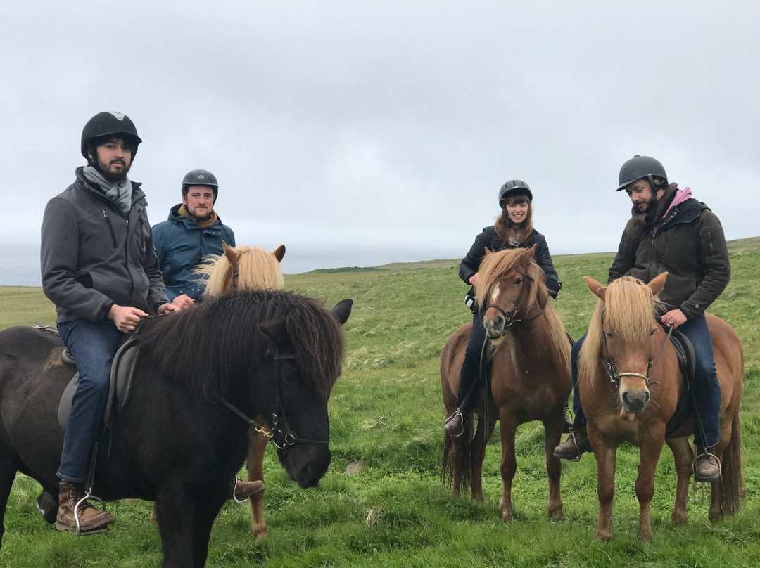 Fjallahestar-Siglufjordur必去景点