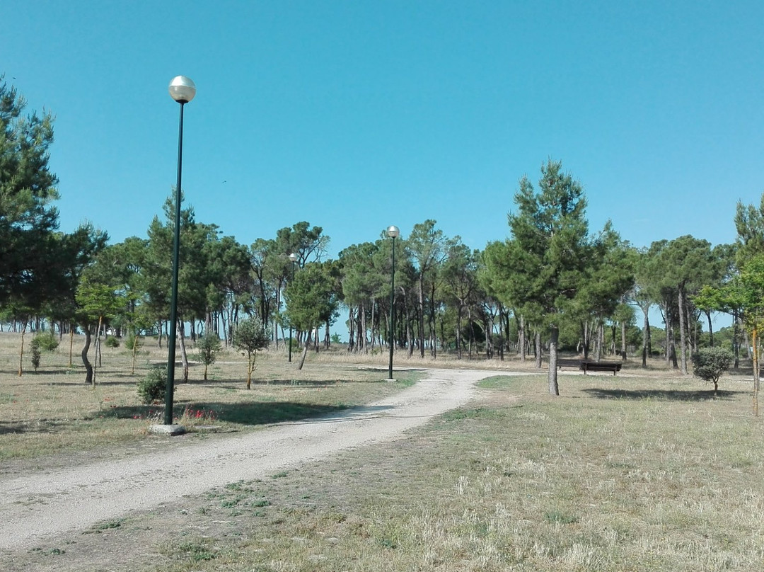 Parque de la Pulgosa景点图片
