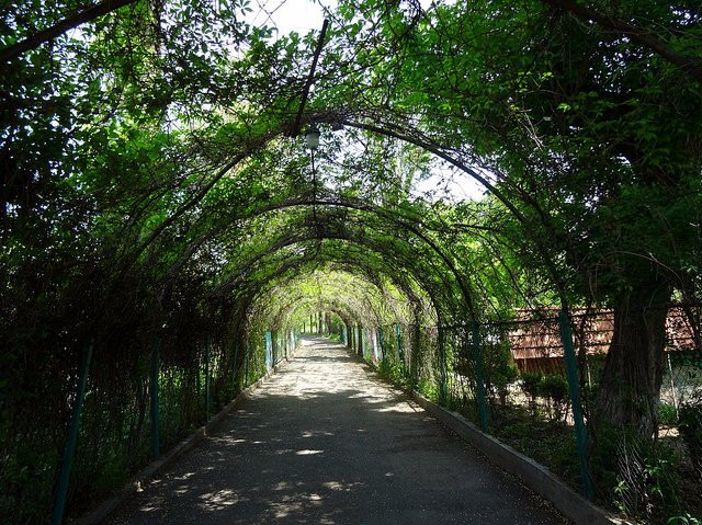 Yerevan Botanical Garden-埃里温必去景点
