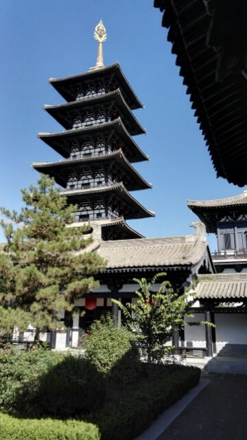 泾川大云寺博物馆景点图片