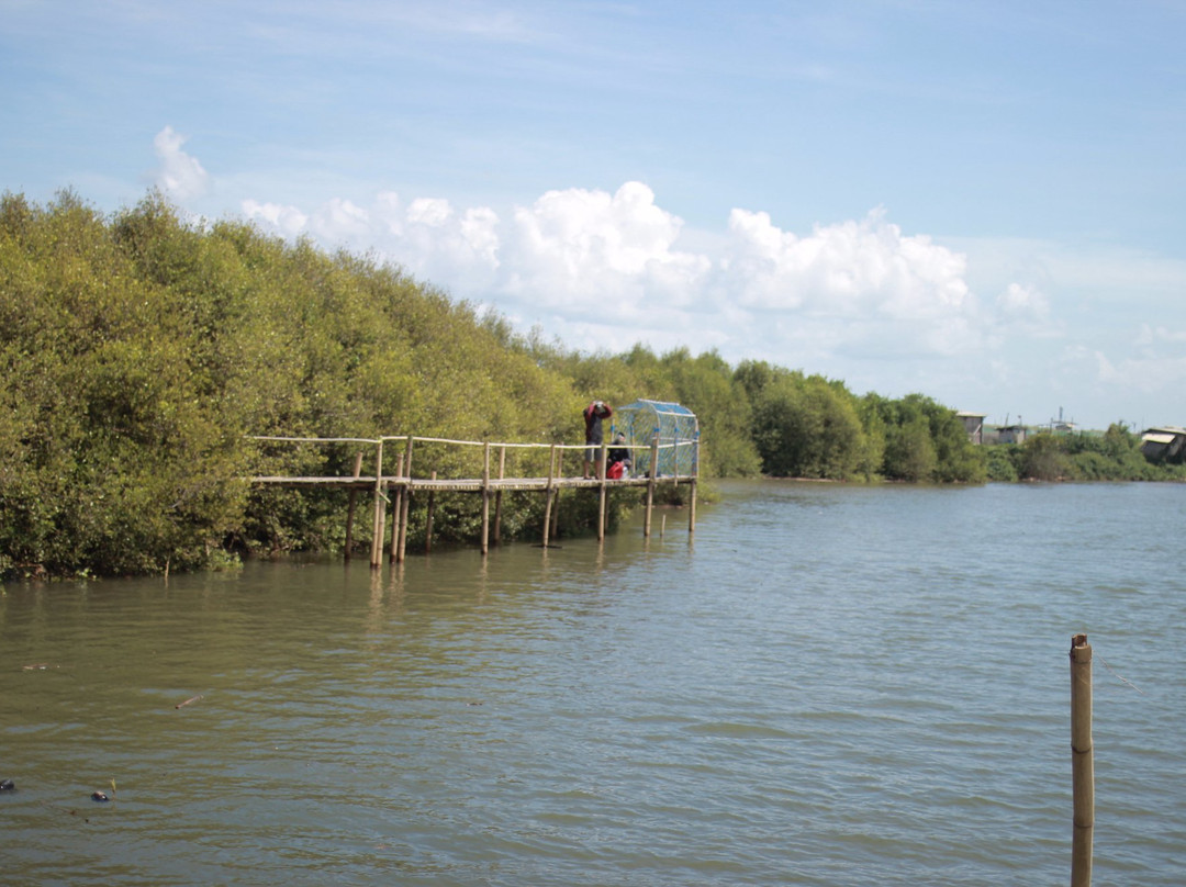 Mangrove Forest Kulon Progo-Kulon Progo必去景点