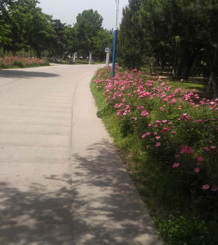 秦岭野生动物园-西安市必去景点