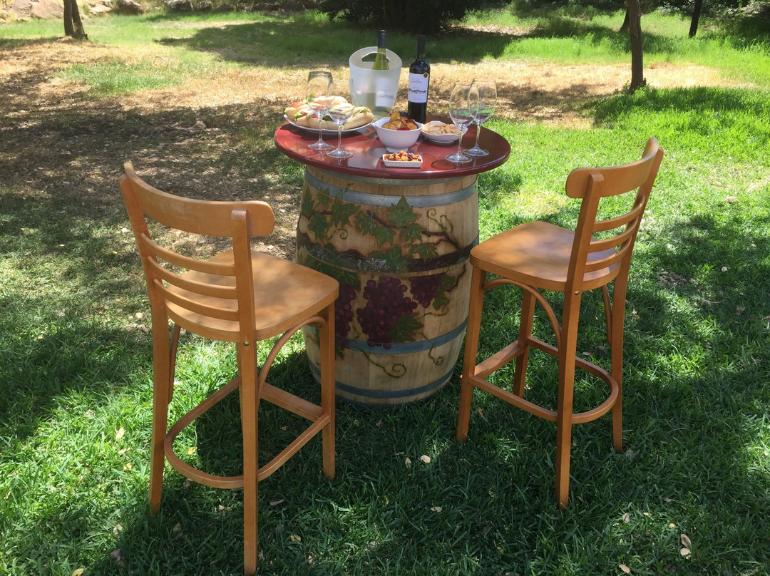 Viña Hacienda Araucano- François Lurton-Lolol必去景点