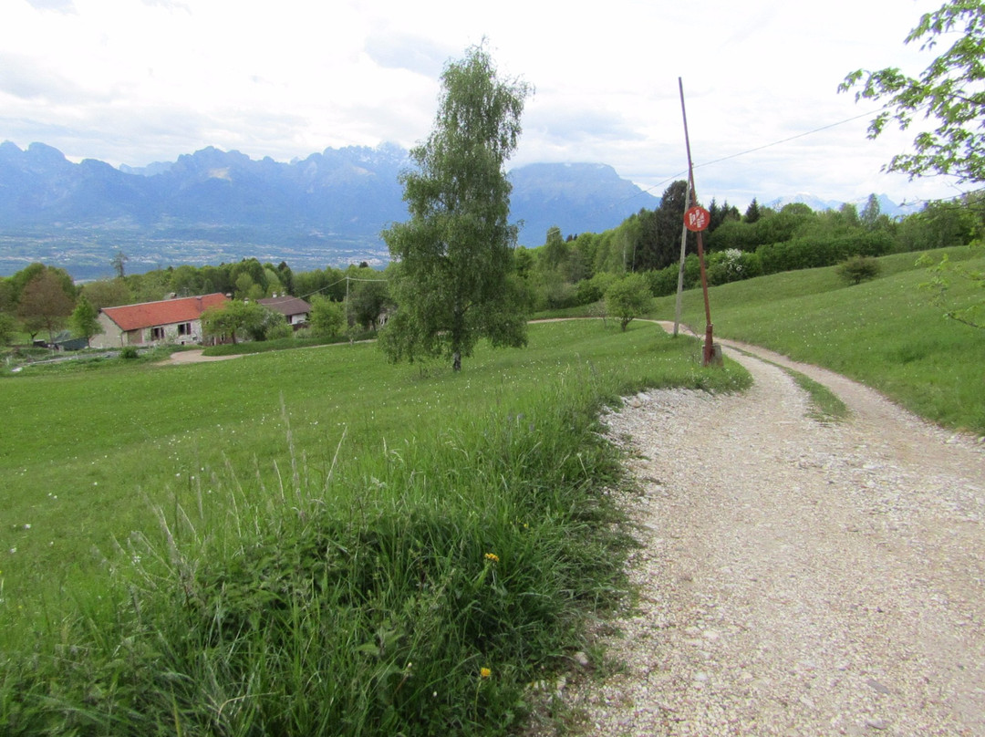 Azienda Agricola La Schirata景点图片