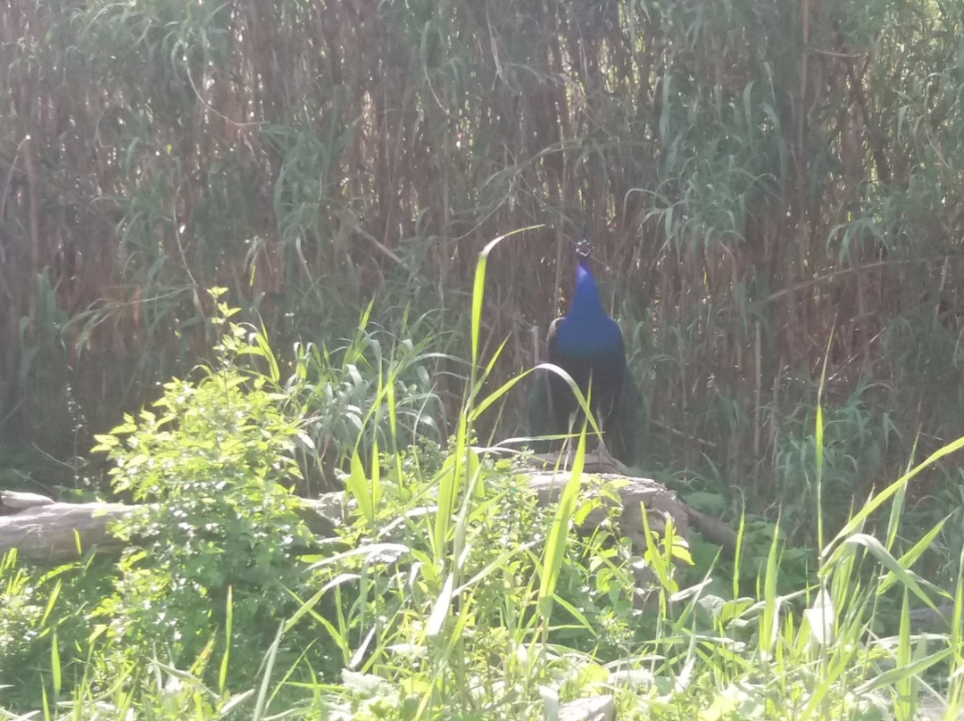 泰州溱湖风景区科普馆-泰州市必去景点