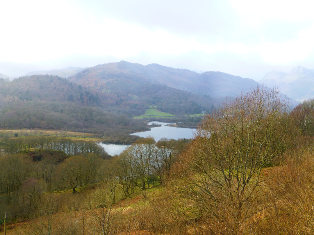 Neaum Crag