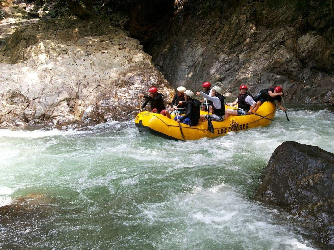 Rios y Aventuras-Puerto Triunfo必去景点