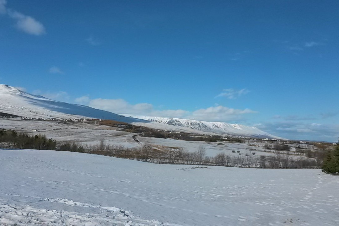 Estuary of the river Eyjafjardará-阿克雷里必去景点