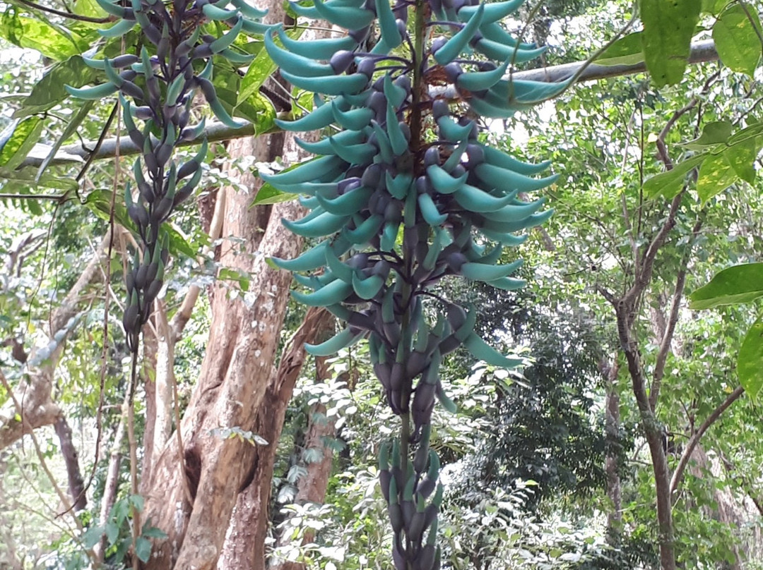 UPLB Museum of Natural History-Los Banos必去景点