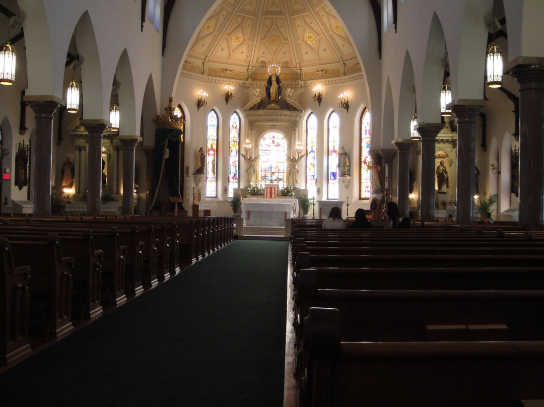 St. Patrick Cathedral-沃思堡必去景点