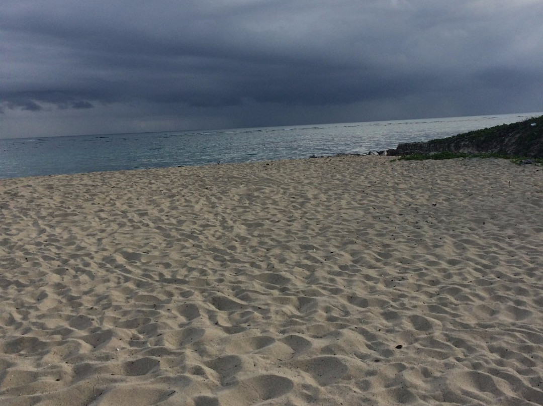 Long Beach-普拉塔港必去景点