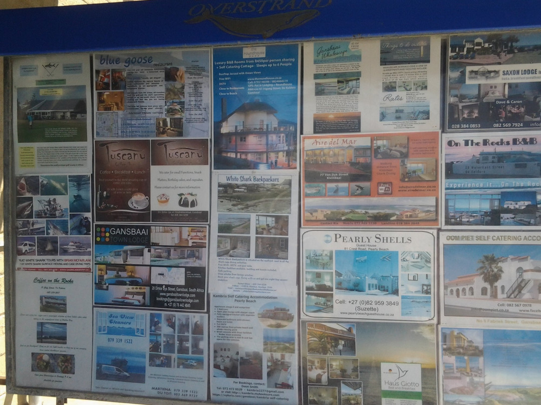 Gansbaai Tourism-干斯拜必去景点