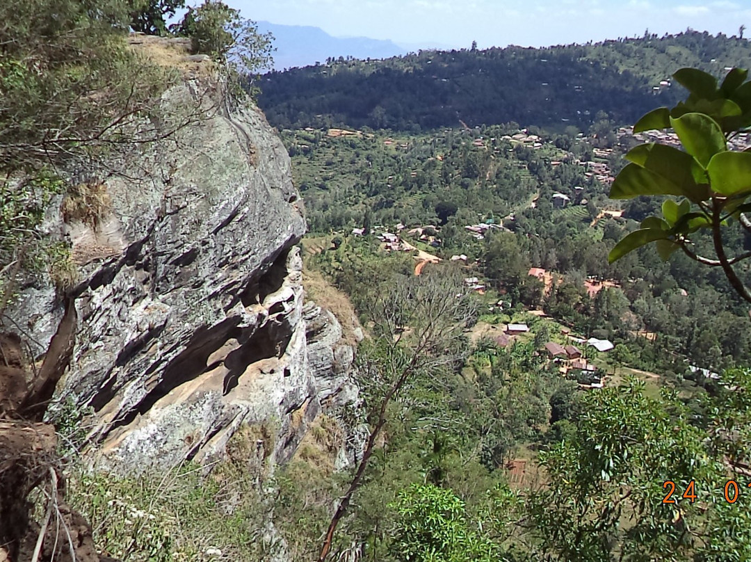 Lavender Garden Hotel主图
