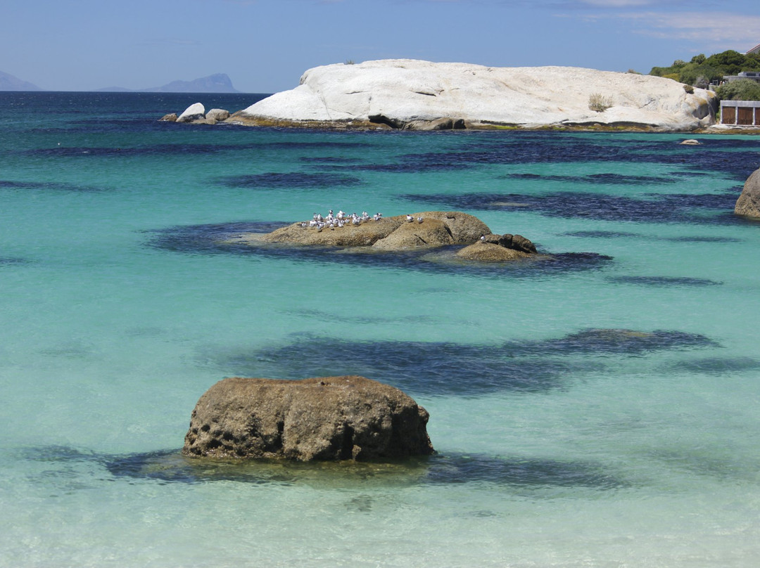 西门镇旅游攻略图片