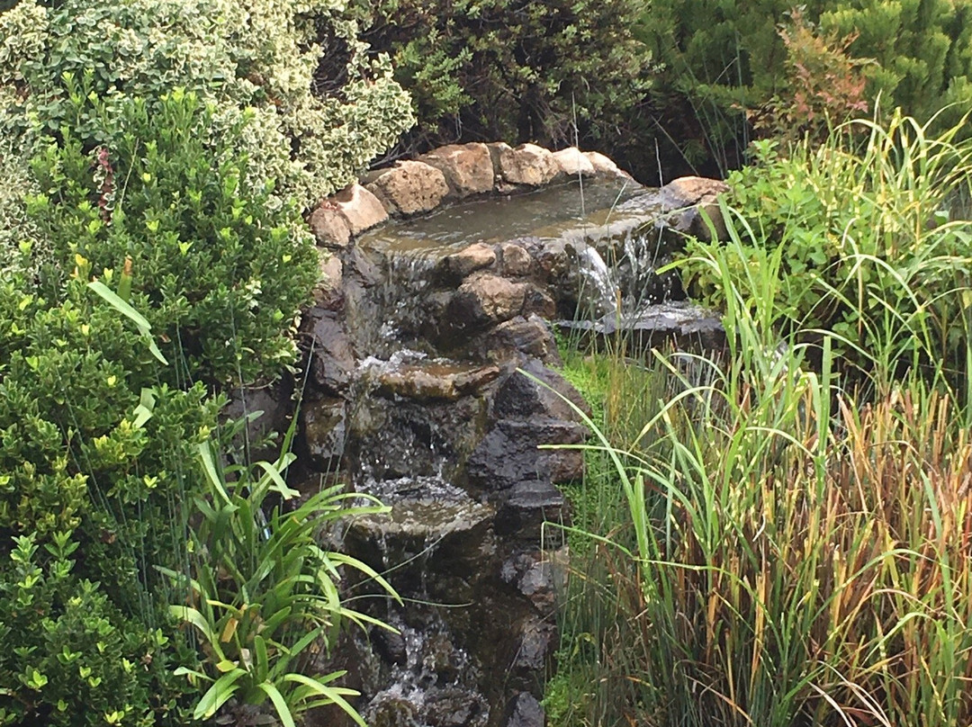 Diamond Creek Vineyards-卡利斯托加必去景点