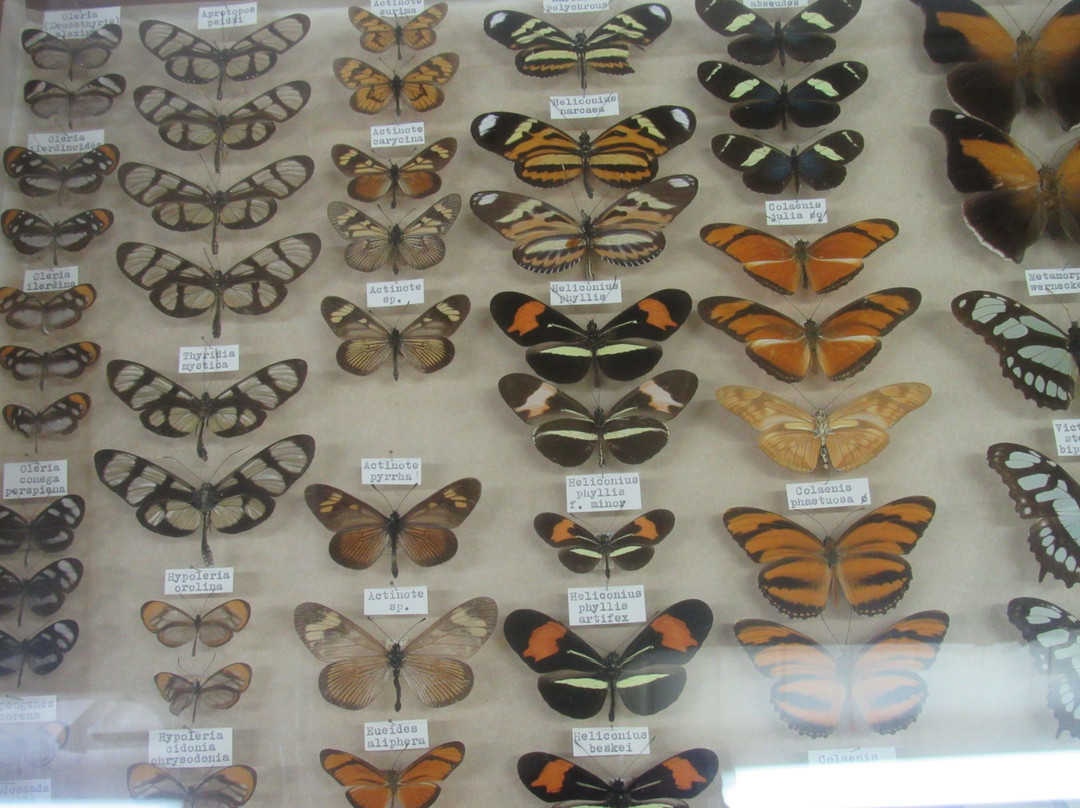 Museu Entomológico Fritz Plaumann-Seara必去景点