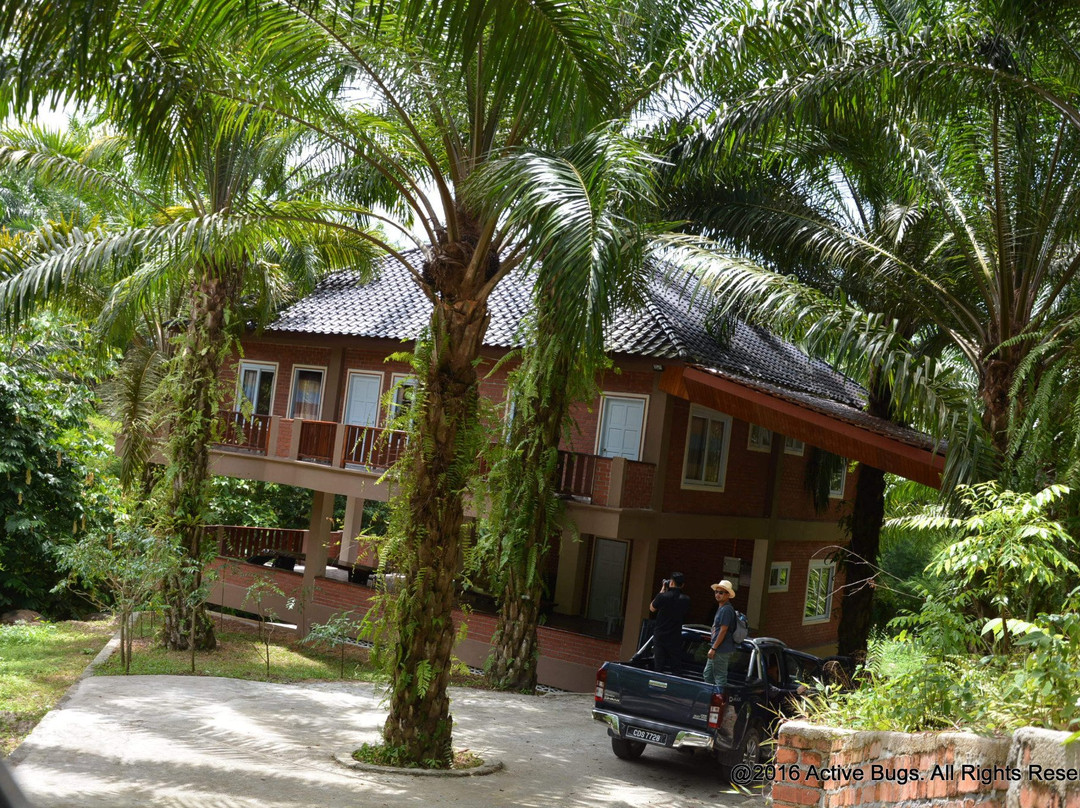 Lembah Temir Resort