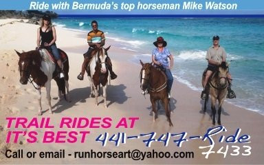 Bermuda's Best Horse Trail Rides and Horses-Warwick Parish必去景点