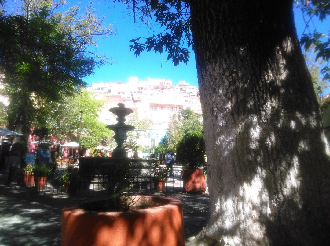 Plaza de San Fernando景点图片