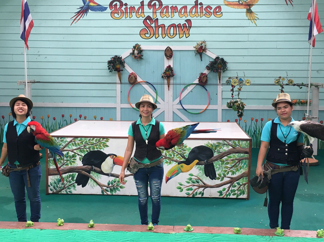 Phuket Bird Paradise-查龙必去景点