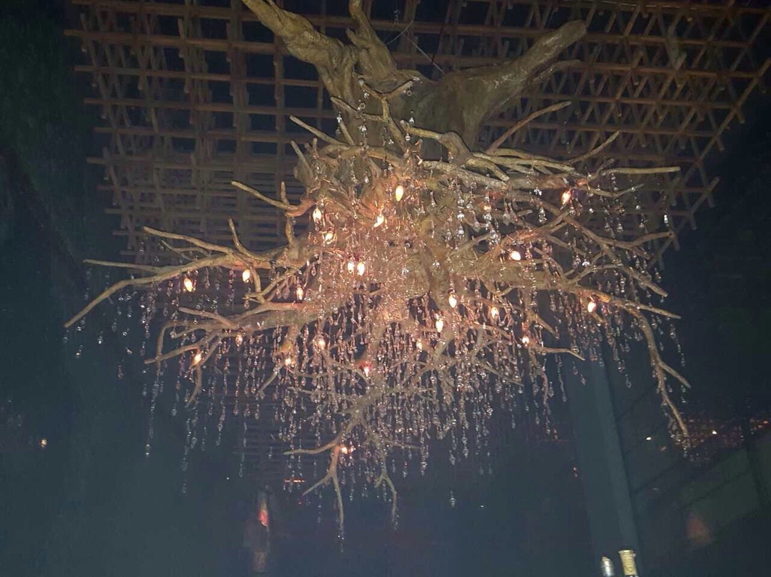 Jenja-水明漾必去景点