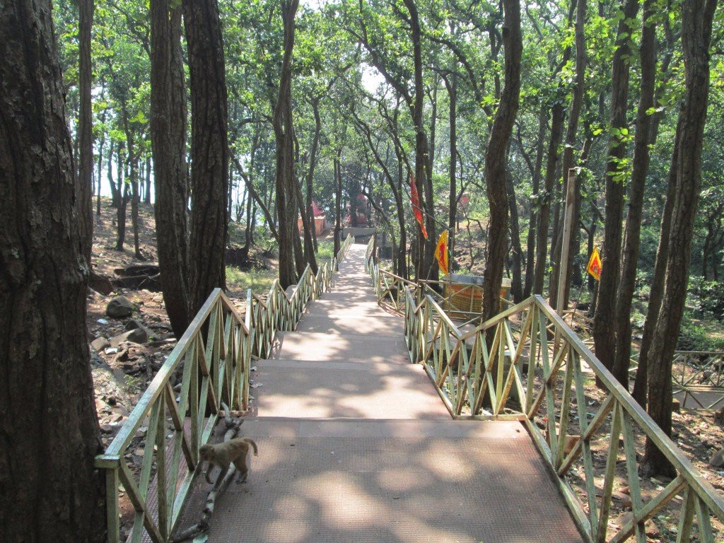 Son Udgam Temple-Amarkantak必去景点