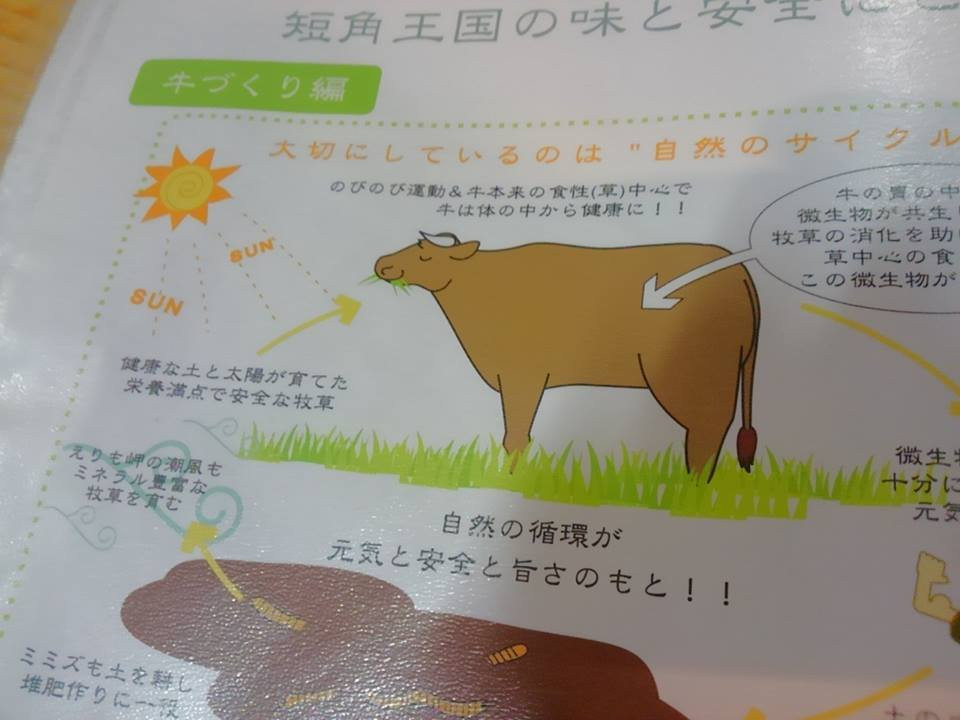 Farm Inn Maburitto主图