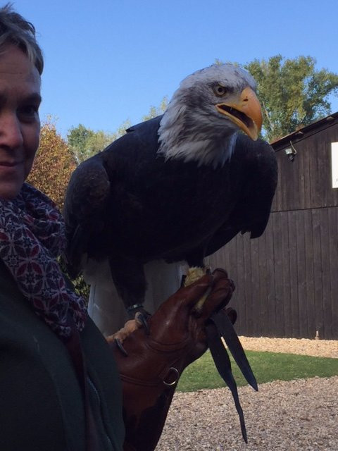科蓬旅游景点-Gymnicher Mühle Nature Park Center