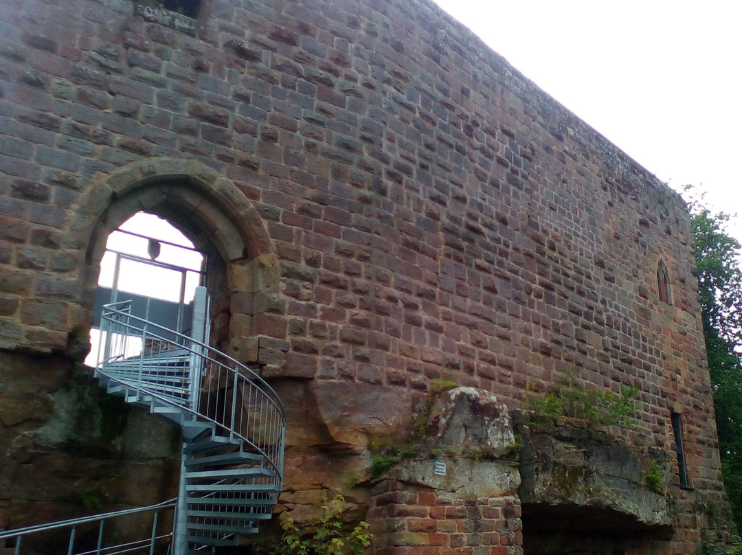 Burg Wilenstein-Flörsheim景点图片