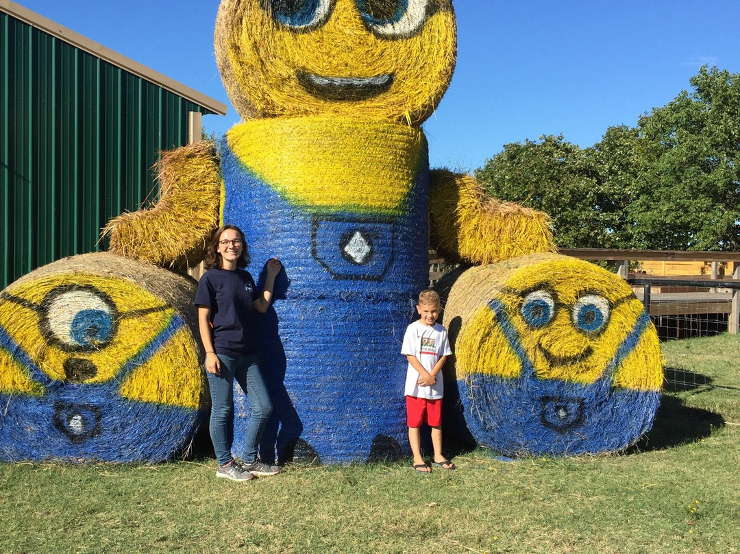 Coble Highland Ranch and Zoo-Henryetta必去景点