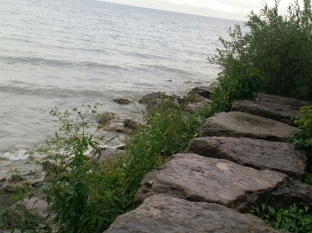 Adamson Estate-米西索加必去景点