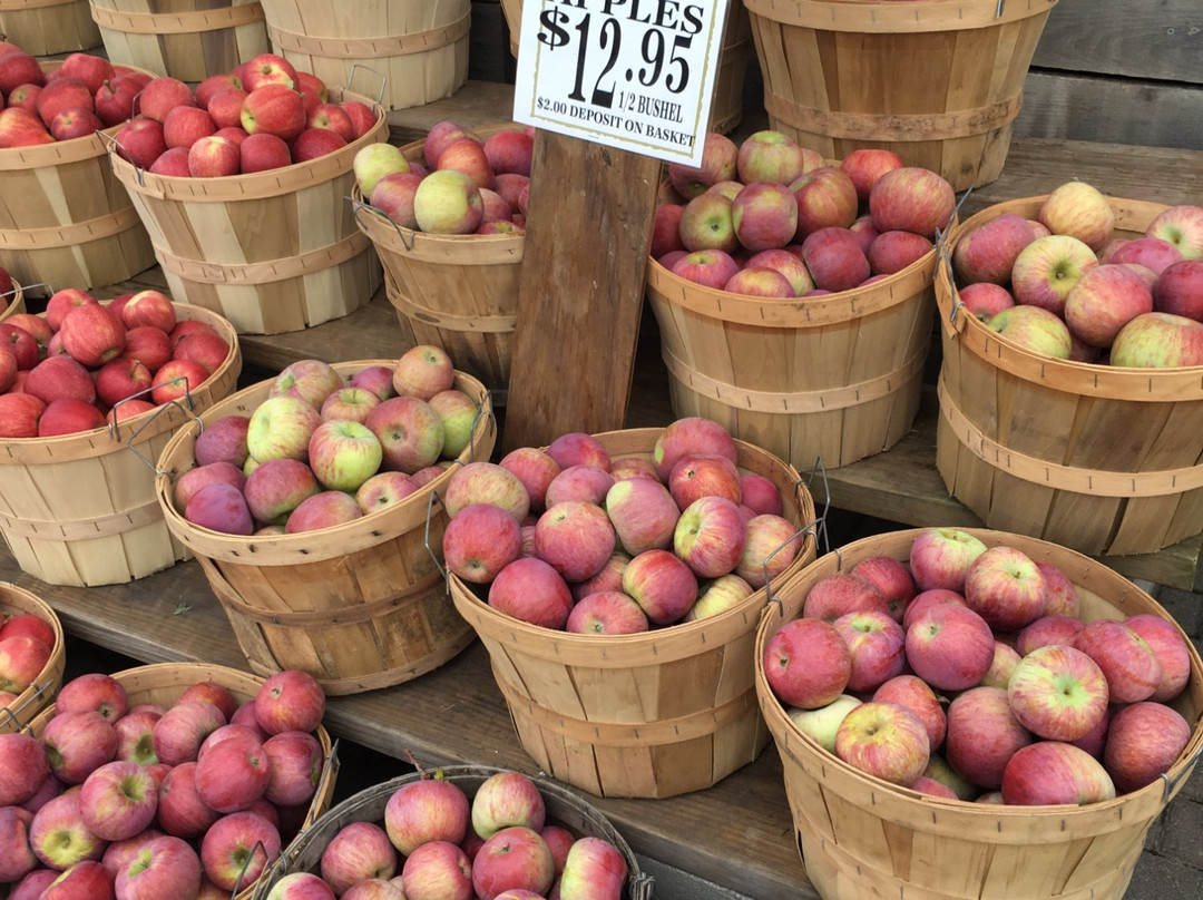 Cherry Street Market景点图片