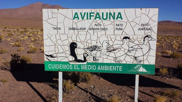 Salar de Coposa-Pica必去景点