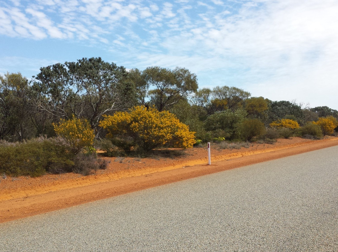 Mullewa Community Resource Centre-Mullewa必去景点