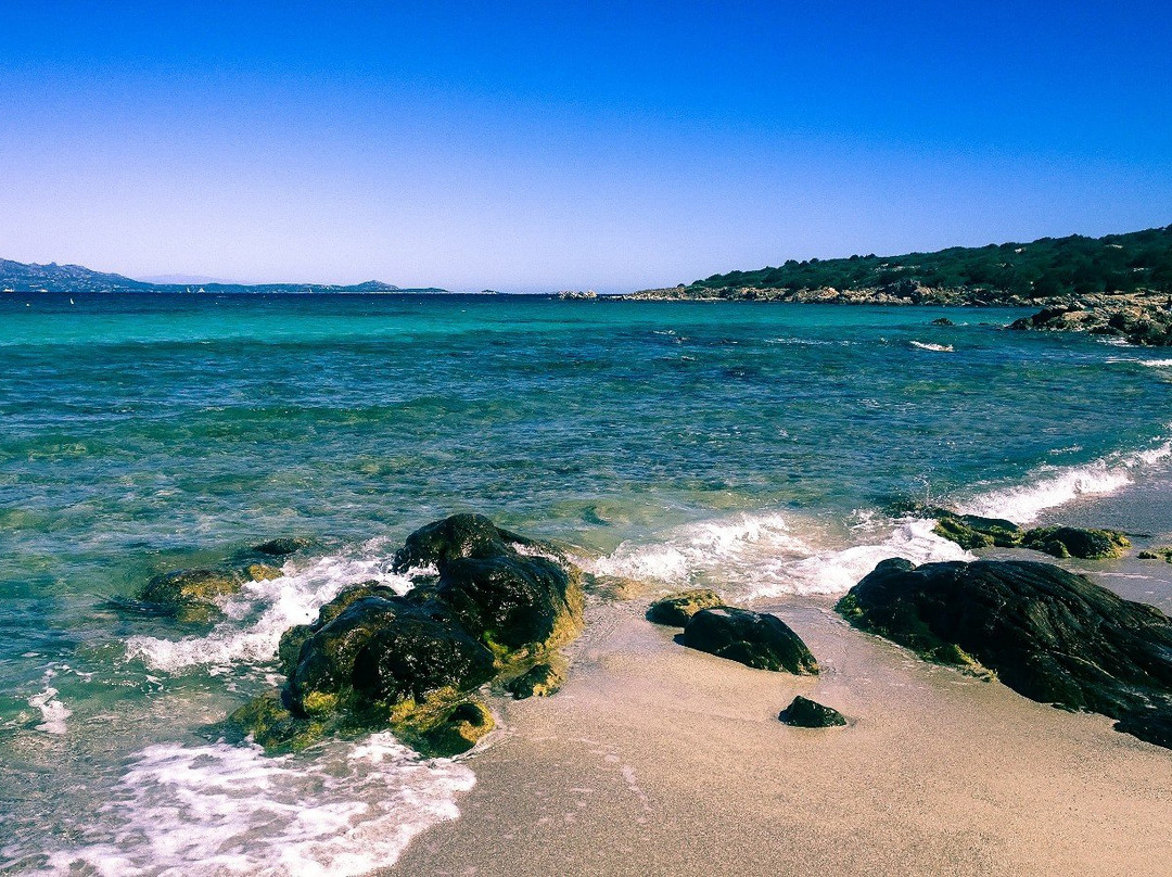 Spiaggia di Cala Sabina景点图片