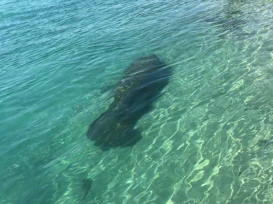 Beach Water Sports-朱庇特必去景点