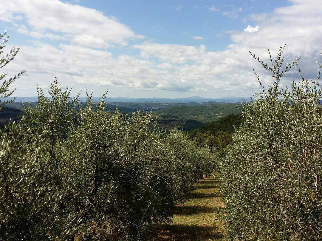 Podere Ciona-加约莱因基安蒂必去景点