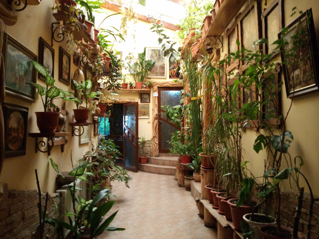 Orhei餐馆和美食-Safari Restaurant