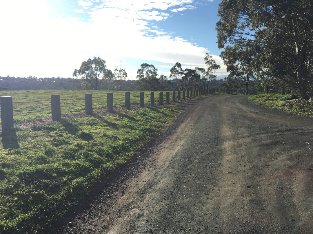 Yellow Gum Recreation Area-Plenty必去景点