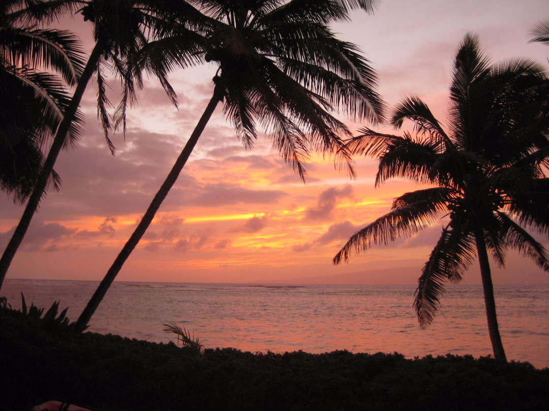 Waialua Beach-考纳卡卡伊必去景点