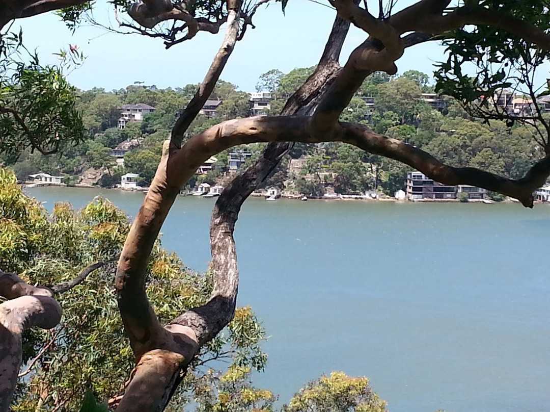 Oatley Park景点图片