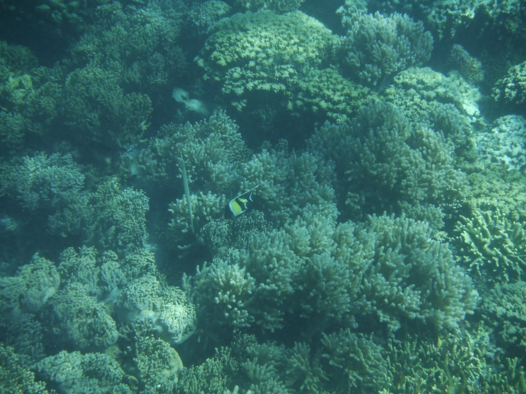 Piti Bomb Holes Preserve-Piti必去景点