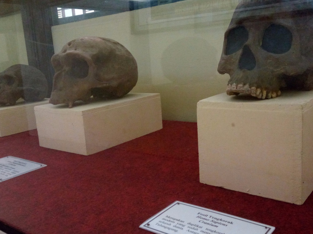 Trinil Museum-Kedunggalar必去景点