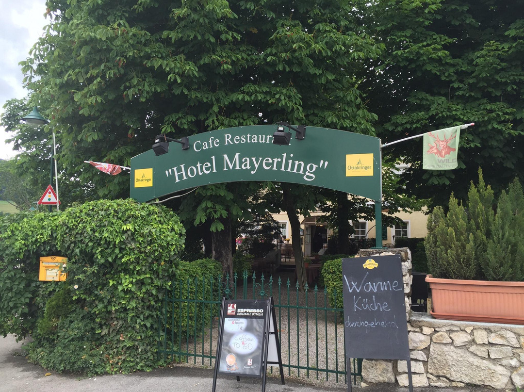 Gasthof zum Alten Jagdschloss主图