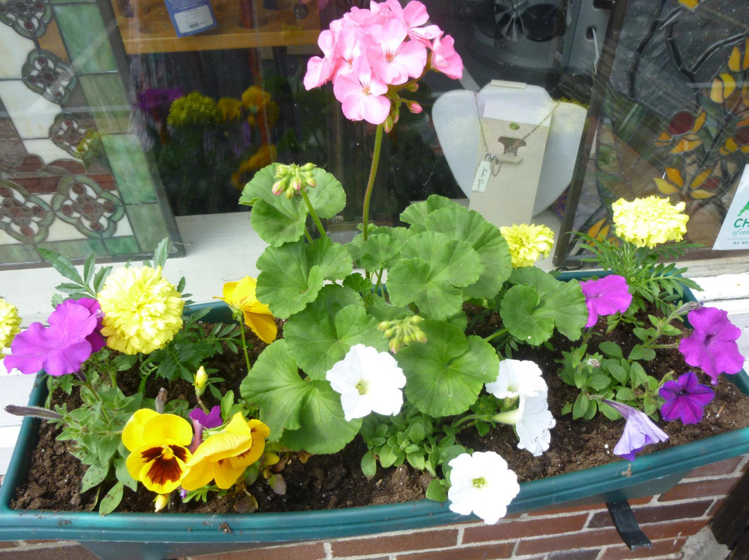 Sadie Green's Curiosity Shop-斯特布里奇必去景点