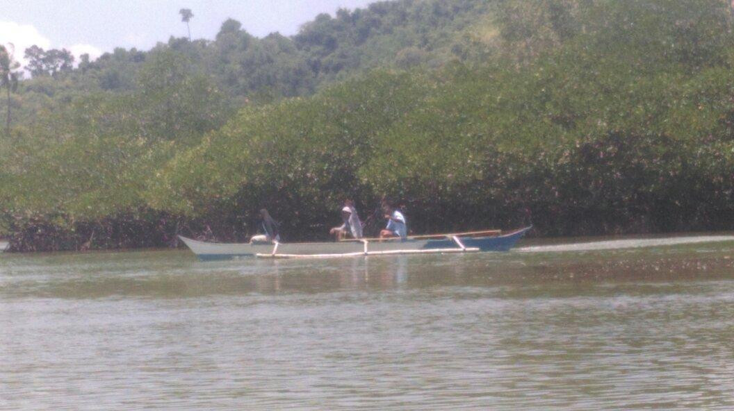 Mystic Mangrove Adventure-爱妮岛必去景点