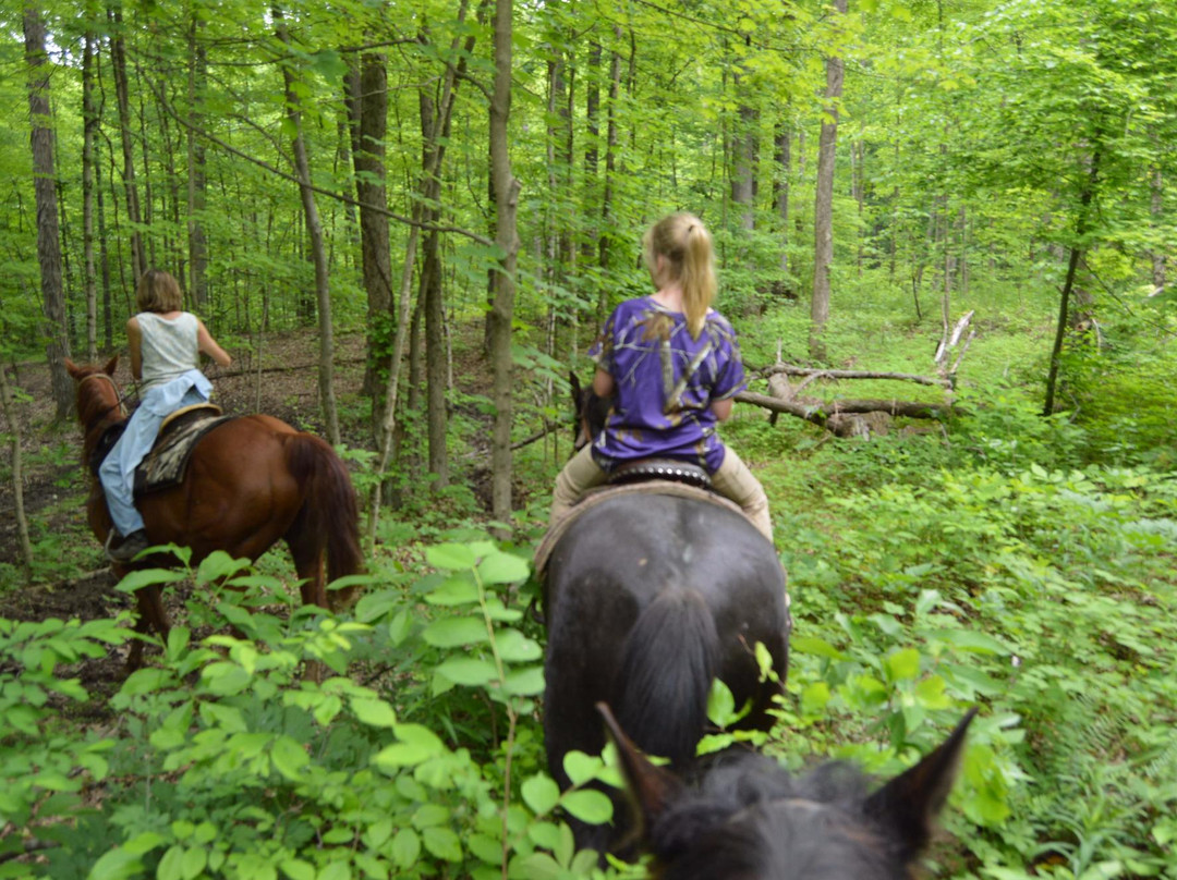 Salt Creek Ranch-Laurel必去景点
